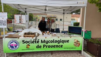 le Stand