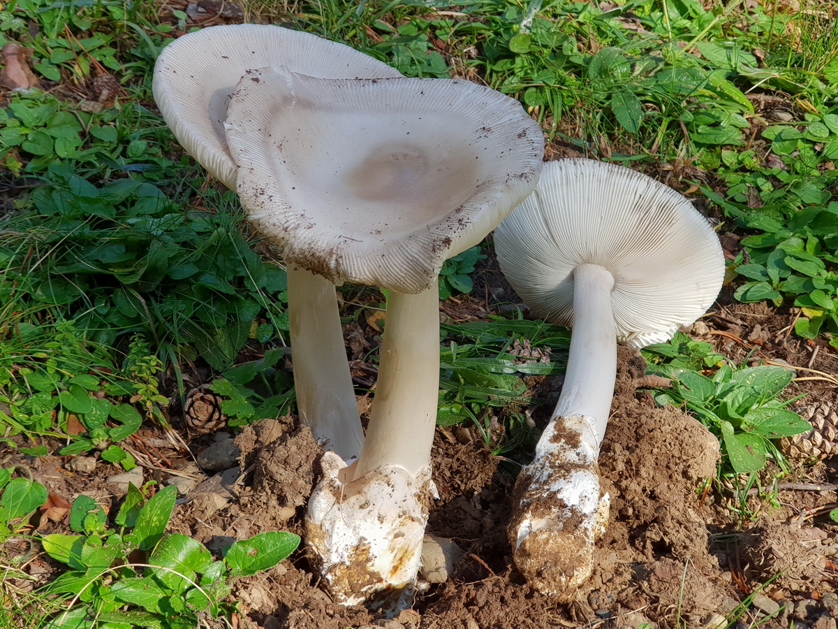 Description photo 2