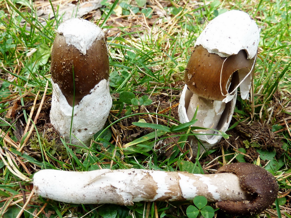 Description photo 3