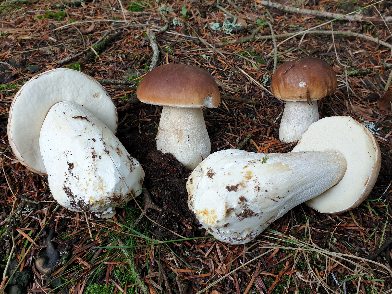 Description photo 2